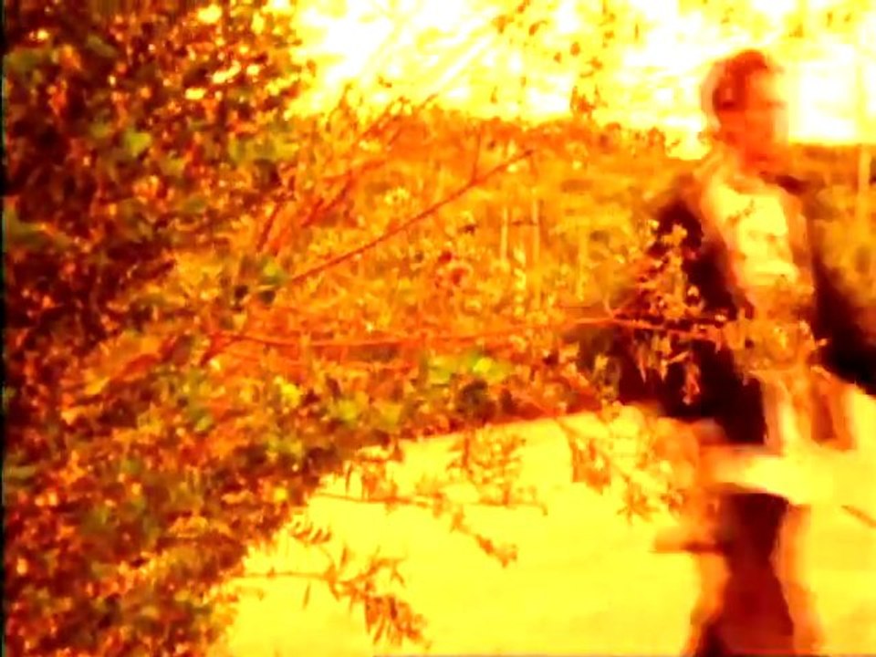 Feel Free Trailer