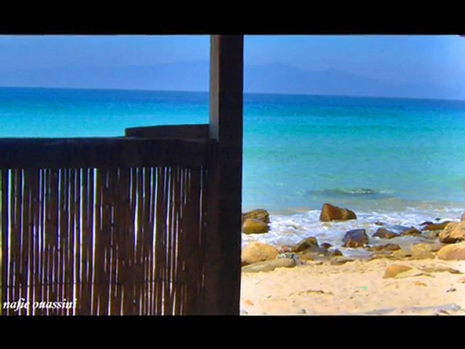 dalia playa 25-10-2011