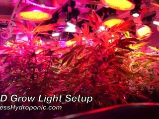 Hydroponic Systems