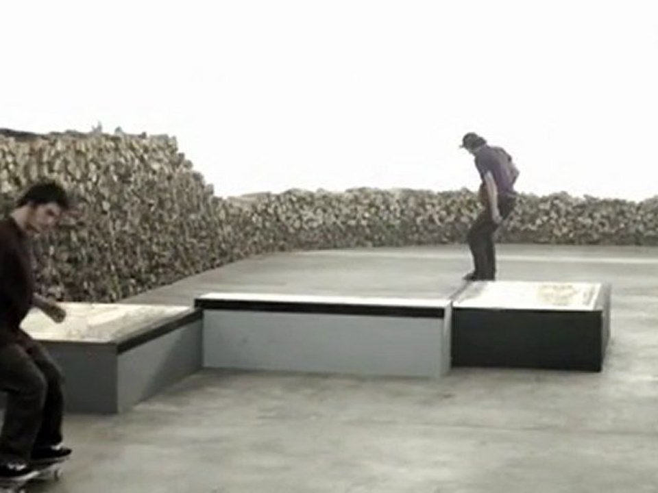2009 Skate & Create DVS Wood