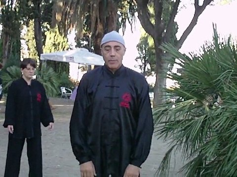 Corsi di Taiji Quan a Roma con il Maestro Flavio Daniele: Nei Gong Il segreto della forza marziale (VI)