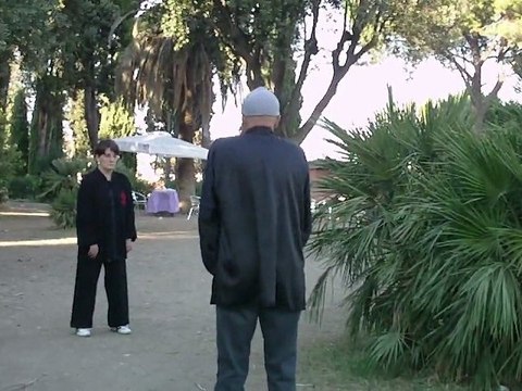 Corsi di Taiji Quan a Roma con il Maestro Flavio Daniele: Nei Gong Il segreto della forza marziale (VII)