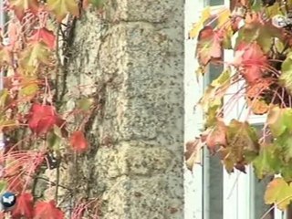 CAP SUR: A la découverte de Coutances