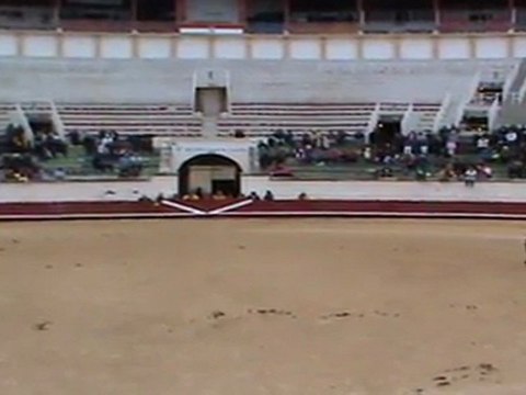 L'equipe du Ranch Le Petit Sam au Telethon 2011 aux arènes de Béziers