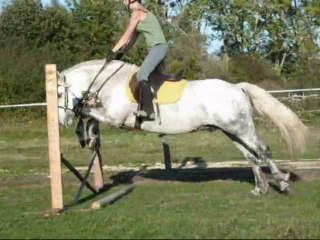 Séance du 15 octobre 2011