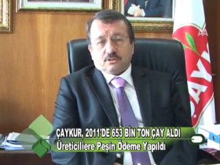 ÇAYKUR, 2011’de 653 bin ton yaş çay aldı