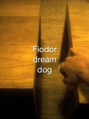 Fiodor dream dog / teaser "second of joy" #1