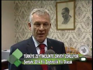 TÜRKİYE ZEYTİNCİLİKTE ZİRVEYİ ZORLUYOR 03.11.2011
