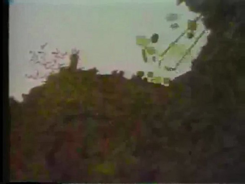 (DVD07) (24) LA SELVA Y SUS HABITANTES