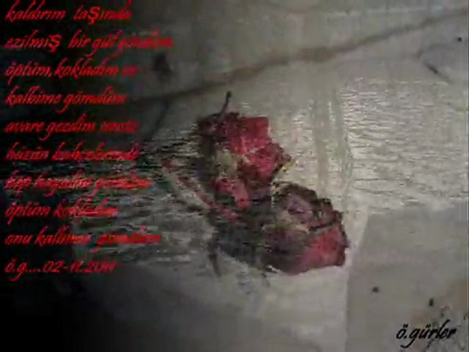 gülden karaöcek-YARİM YARİM-