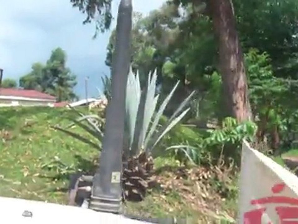 8) Alex & Fred au Congo : ça roule