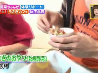 芦田愛菜-ドキドキおもしろグルメツアー(2)