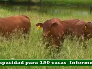 3_3 NOVIEMBRE 2011 hda las margaritas