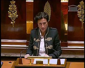 Explication de vote - PLF 2012 immigration asile intégration