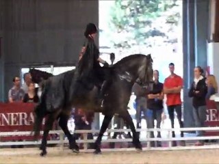 Equid Espace 2011, Fanny et Zorro