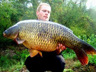 Exemple de montage vidéo carpe avec Picasa