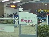 Lazio - 1er du CSI ** de Strazeele