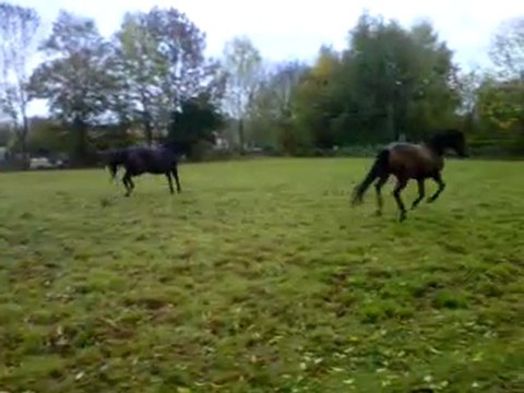 VID 00020-20111103-1718