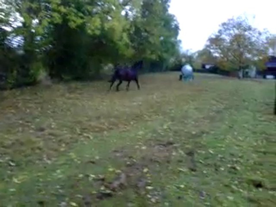 VID 00021-20111103-1719