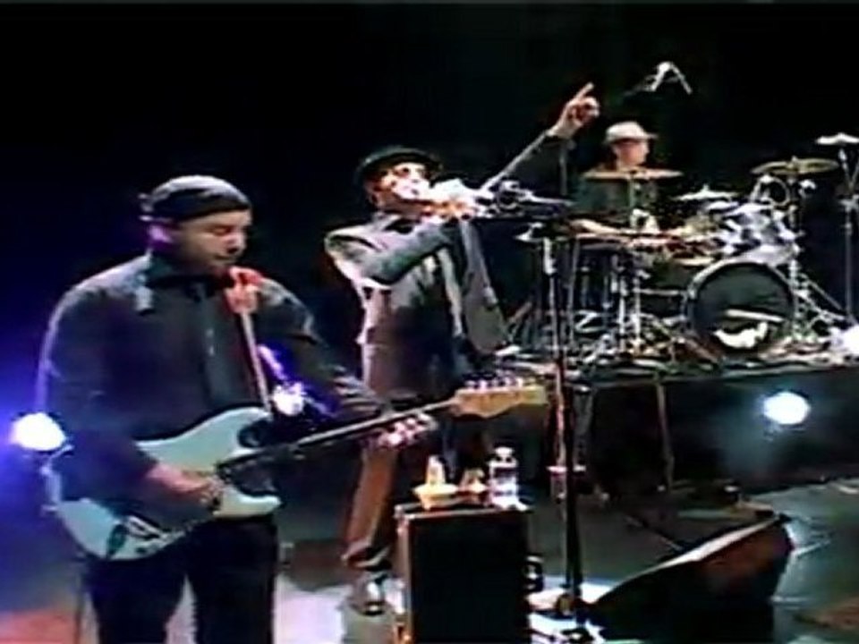 Barizone - don quichotte