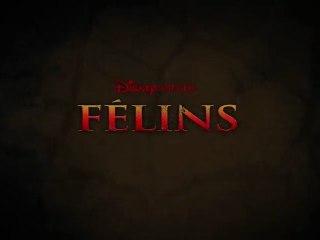Félins - Bande-Annonce / Trailer [VF|HD]