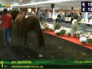 Ventes Osarus - Du lot 41 à 77