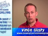 Carpet Cleaning Salt Lake City - How to remove wax from a ca