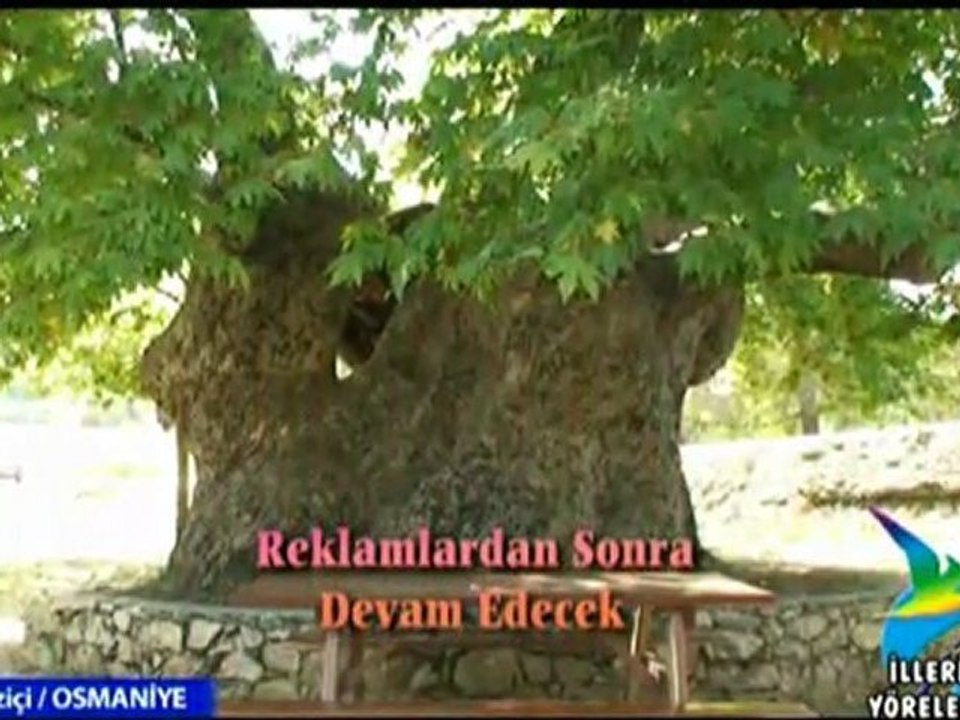 illerimiz Yörelerimiz - Düziçi / Osmaniye