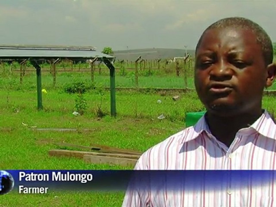 Bio battle to save DRC's forests