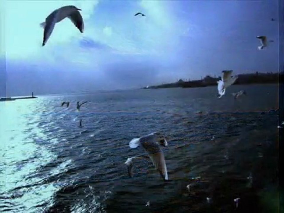 Yıldızlar  Kayboldu