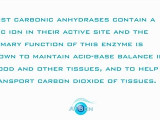 One more Carbonic Anhydrase Recombinant Protein
