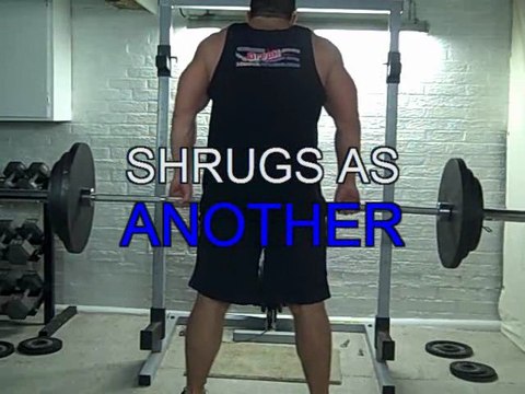 Weight Training Exercise Fitness Programs and Courses