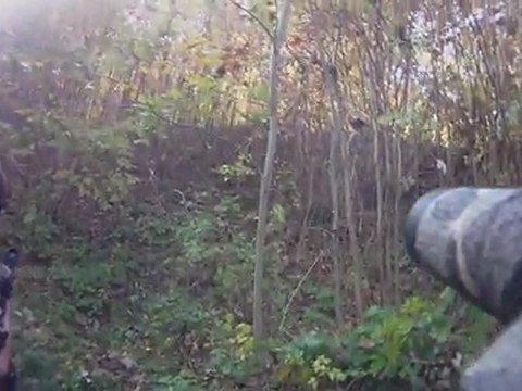 OP les Loups Entre Eux fort de Mons