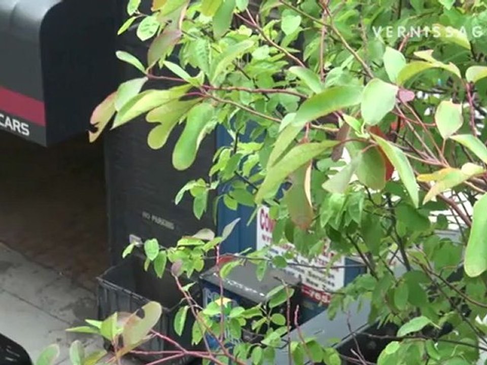 A Walk on the High Line. The High Line Park, New York City