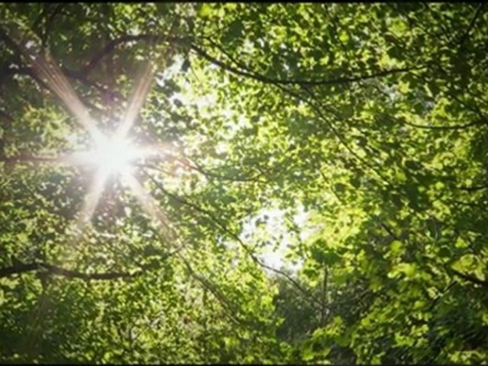 Fairfax Migraine Headache Relief - Dr. Shirine Hegazi