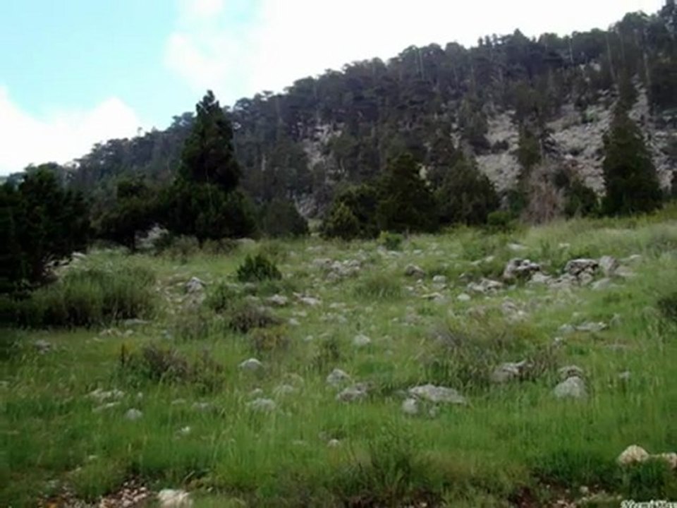 SOGUCAKSU YAYLASI
