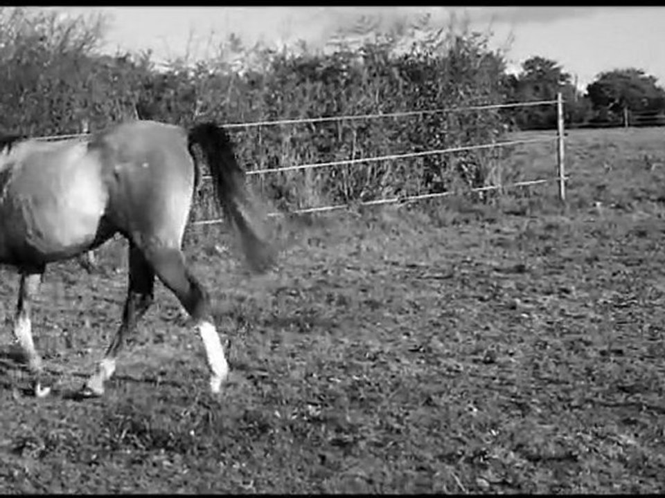 ~` Bébé Singha ; Travail au sol. !