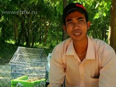 Детёнышей леопарда спасли от наводнения