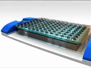 ELISA_Kits___Optimax_TM__ELISA