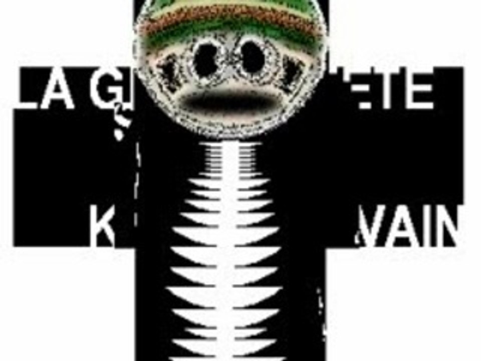 www