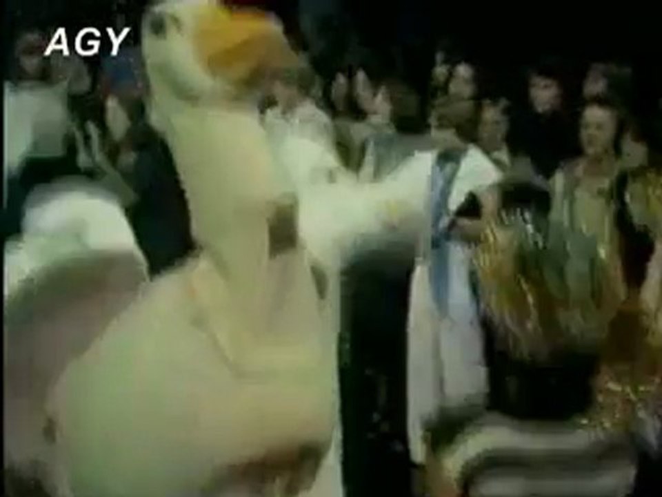 RICK DEES & HIS CAST OF IDIOTS - DISCO DUCK TOTP AGY