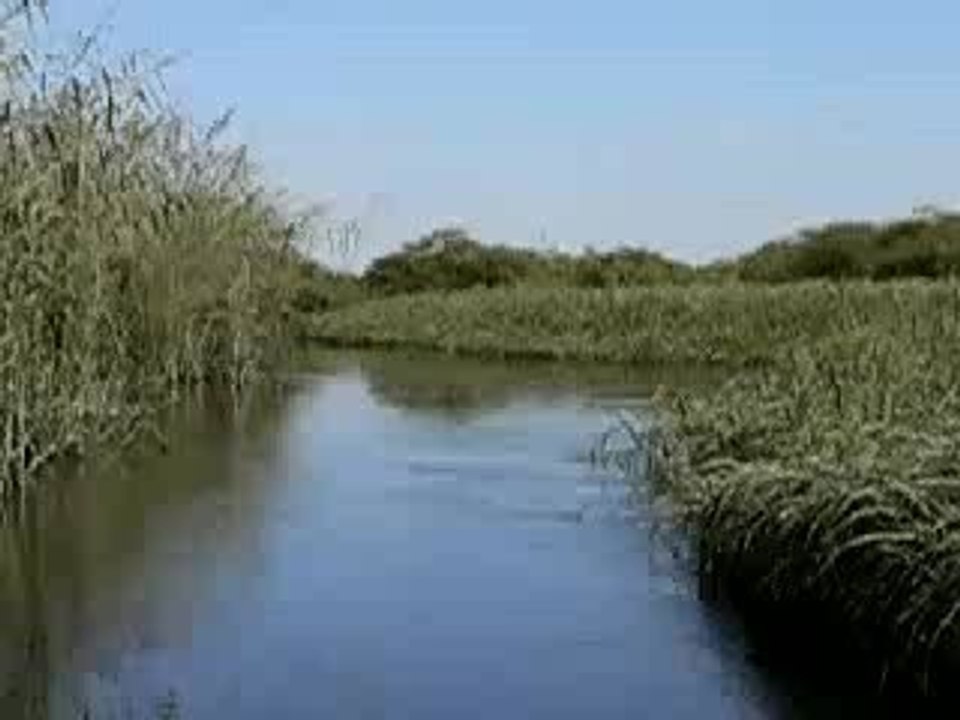 botswana-delta-okavango