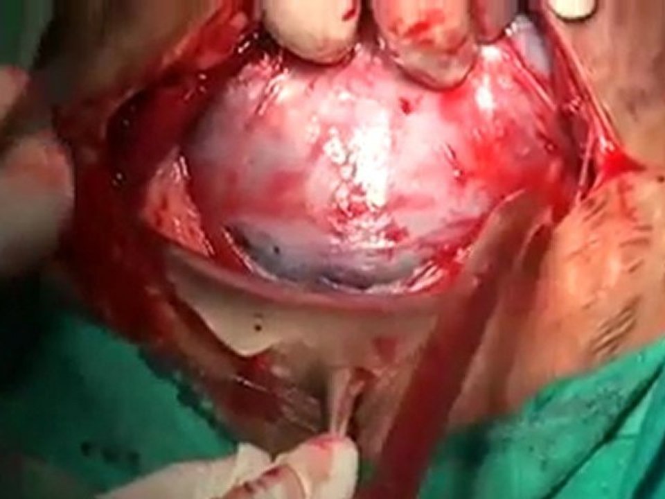 Doktorlar ve Hemşireler'in Videoları