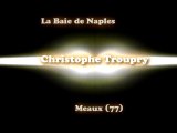 Soirée de sélections du championnat d'île-de-France de karaoké à la Baie de Naples (Meaux, 77) - Interprêtation de Christophe Toupry