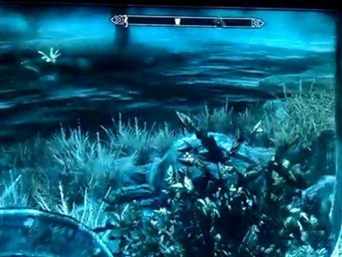 picking flowers and bugs