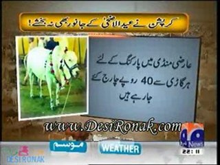 Aj kamran 4 Nov 11 P1