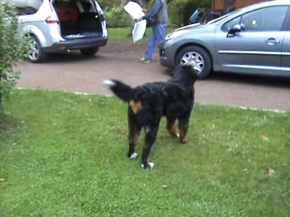 DANA fait des progrès.  (1)