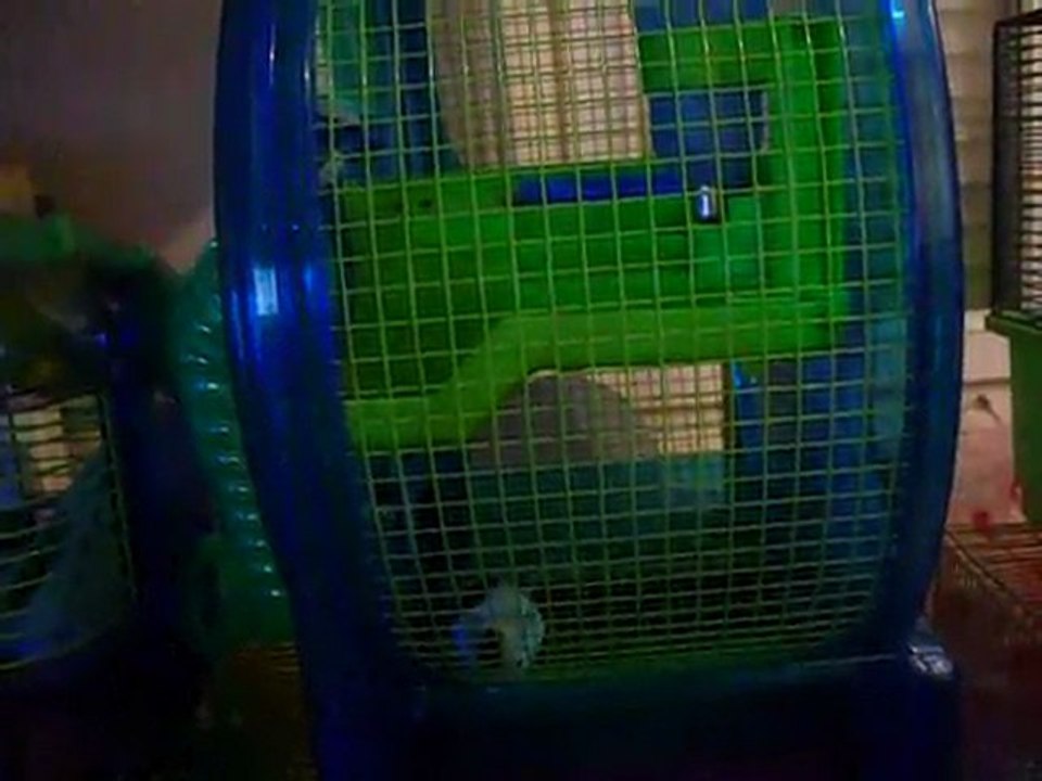 ma souris qui s'éclate