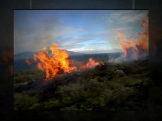 Network Marketing Tips