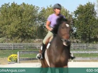 Barrington Area Realtor – Hollis Angus. Equine Property ...